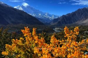 Read more about the article Discovering Hunza Valley: The Crown Jewel of Northern Pakistan